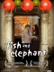 fish-and-elephant